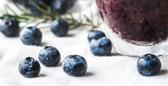 Fresh, fruits, antioxidant, blueberry wallpaper