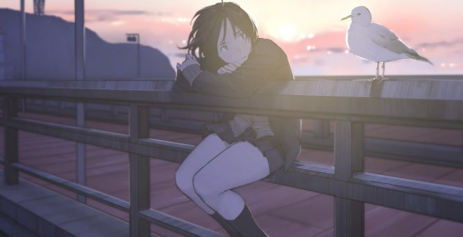 Gull, anime girl, outdoor wallpaper
