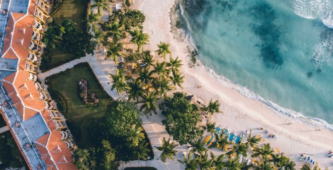 Aerial views of palms and beach, resort, nature wallpaper