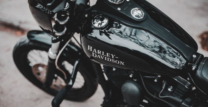 Harley-Davidson, muscle bike wallpaper