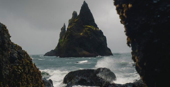 Coastal, cliff, green, Iceland, nature wallpaper