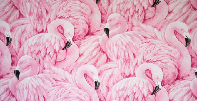 Pink flamingos, bird artwork wallpaper
