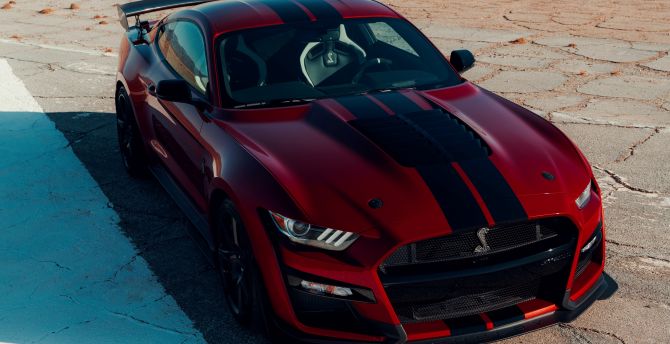 Ford Mustang Shelby GT500, muscle car, blood-red wallpaper