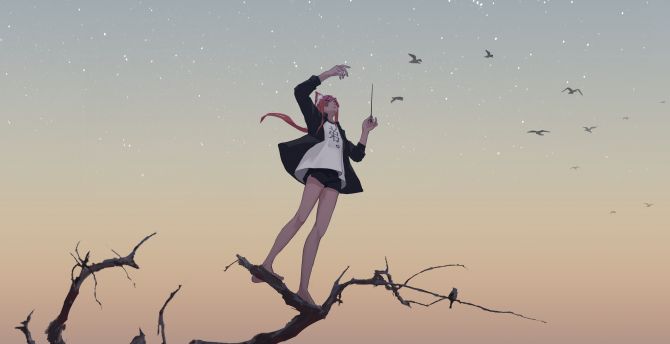 Relaxed, anime girl, birds, sunset, sky, art wallpaper