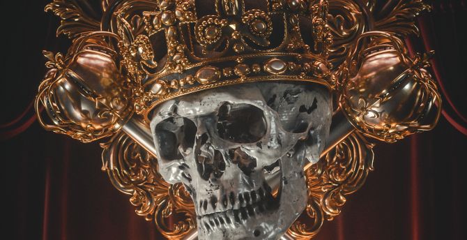 Crown on skull, golden crown, head wallpaper
