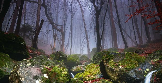 Bulgaria Forest, nature, adorable rocks, waterfall wallpaper