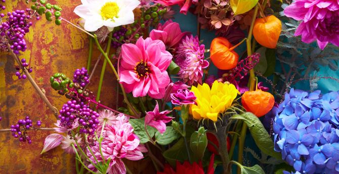 Wallpaper flowers, bright & colorful, fresh desktop wallpaper, hd image ...