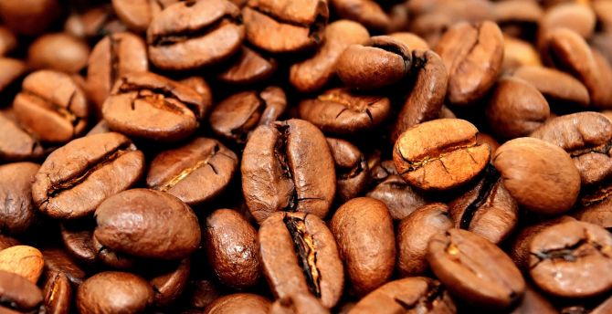 Coffee beans, close up wallpaper
