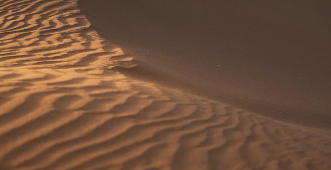 Dunes of desert, sand wallpaper