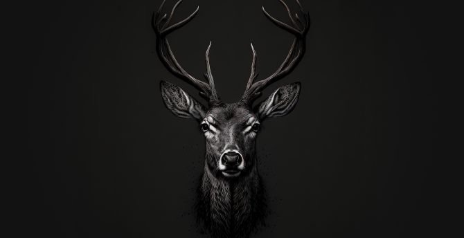 BW, deer muzzle, digital art wallpaper