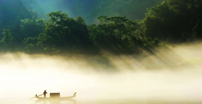Lake, misty day, fisherman, countryside, foggy forest, nature wallpaper