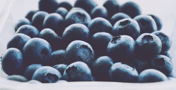 Close up, fruits, blueberry wallpaper