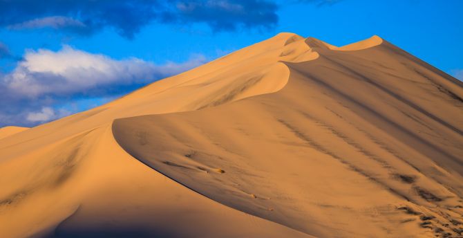 Landscape, sand, dunes, desert wallpaper
