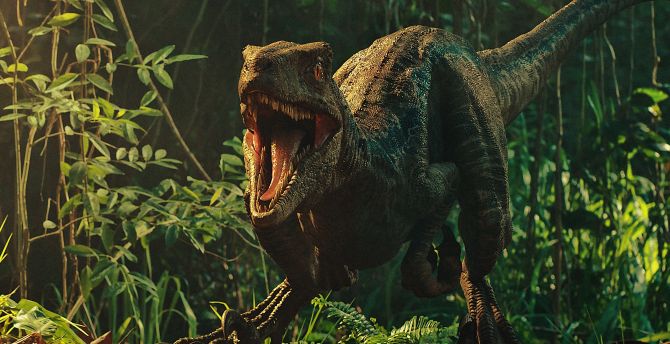 Movie, Jurassic World: Fallen Kingdom, dinosaur wallpaper
