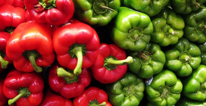 Red and green, vegetables, peppers wallpaper