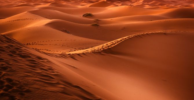 Morocco, desert, sand, dunes wallpaper