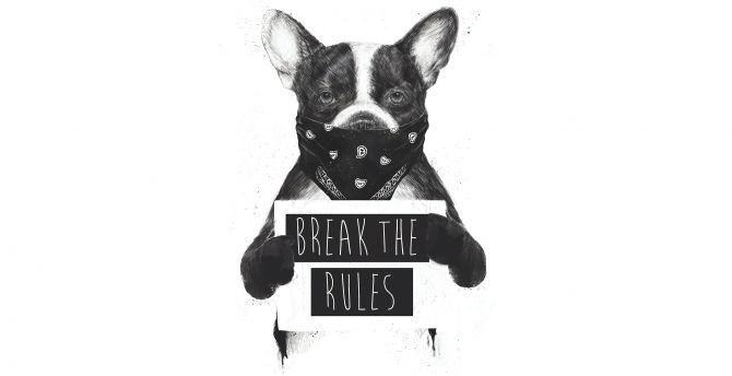 Artwork, bulldog, Rebel dog, bw wallpaper