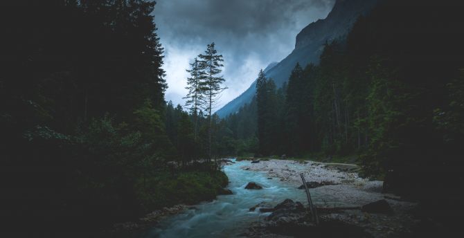 Nature, forest, river, green trees wallpaper