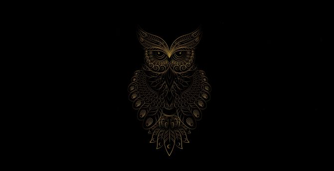 Golden Owl bird, pattern, art wallpaper