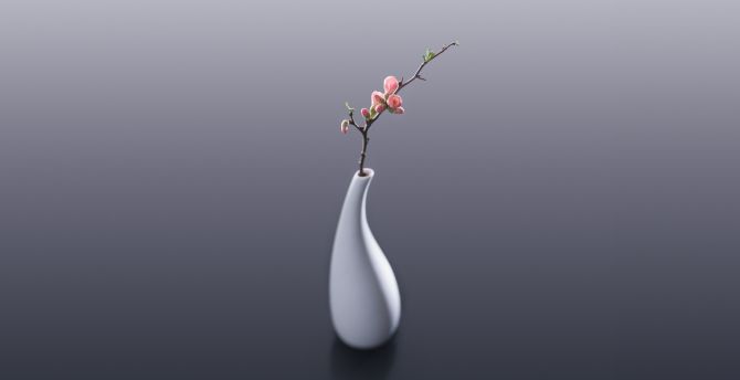 Flowers, vase, minimal wallpaper