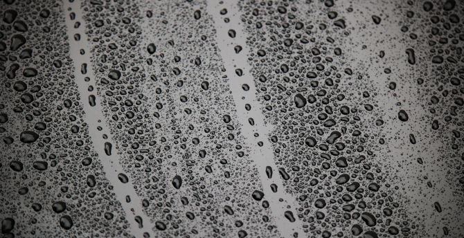 Surface, water drops wallpaper