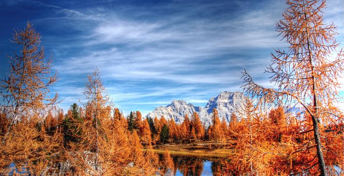 Dolomites, mountains, forest, lake, clean sky, autumn wallpaper
