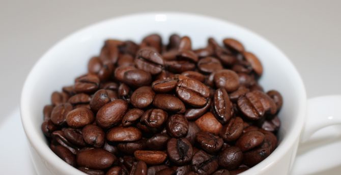 Roasted, coffee beans, cup wallpaper
