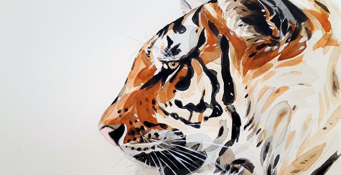Tiger, predator, animal, muzzle, art wallpaper