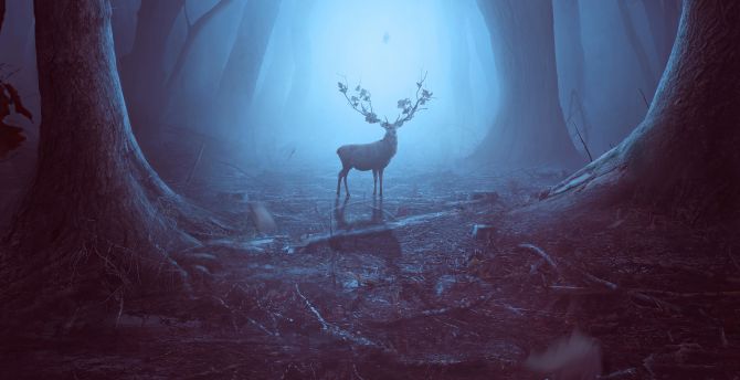 Into the woods, Reindeer, wildlife, art wallpaper