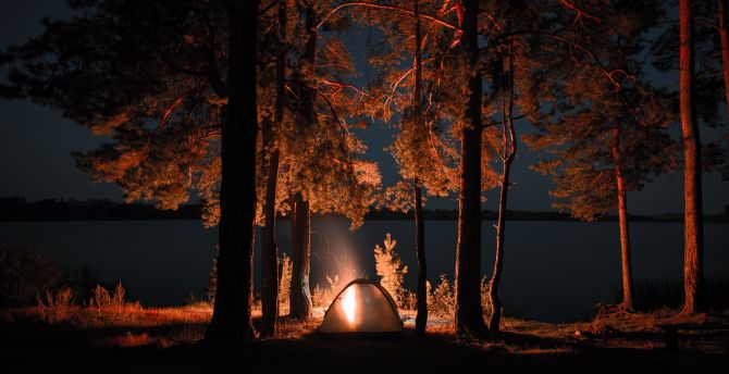 Outing, campfire, trees, tent, night wallpaper