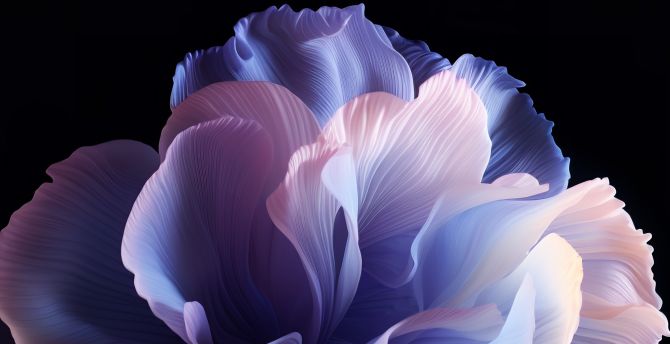 ColorOS, 2023, abstract, stock photo, white petal art wallpaper