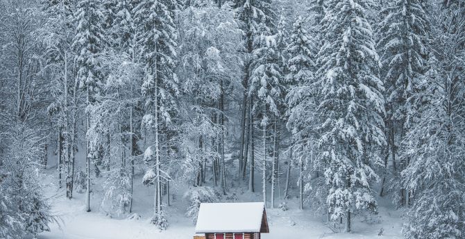Winter, house, lake, frozen lake, forest, nature wallpaper