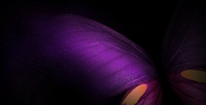 Wallpaper samsung galaxy fold, butterfly, purple-pink-black desktop  wallpaper, hd image, picture, background, 332fbe | wallpapersmug