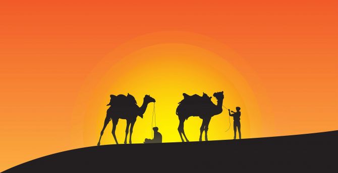 Camels, sunset, silhouette, desert, minimal wallpaper