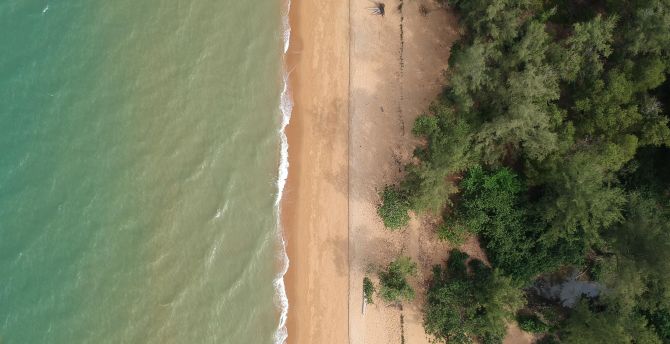Aerial shot, trees, beach wallpaper