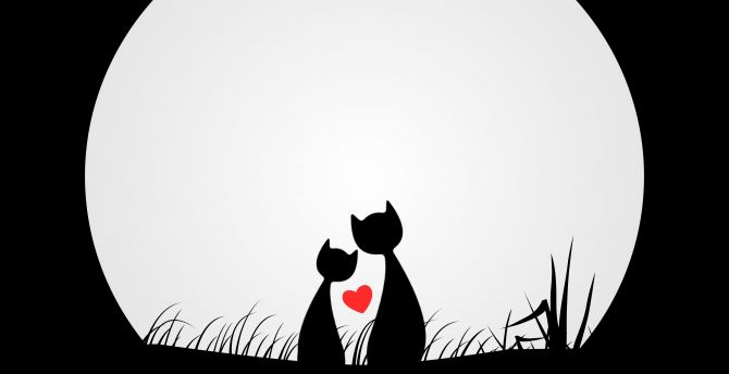 Desktop Wallpaper Couple Cats Love Silhouettes Moon