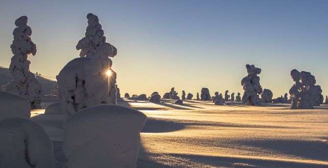 Finland, landscape, winter, snow wallpaper