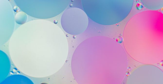 Circles, colorful bubbles, macro wallpaper