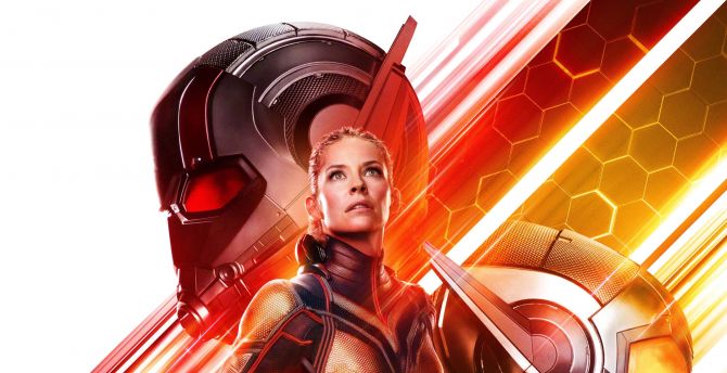 2018 movie, Ant-man and the wasp, movie wallpaper