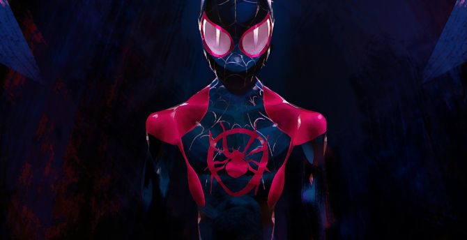 Desktop wallpaper  2021 spider verse spider man  dark  