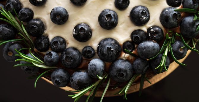 Fruit dish, blueberry wallpaper