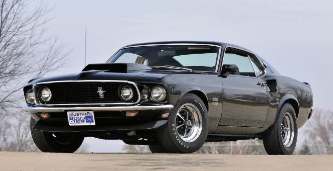 Lovely, classic, sports car, 1969 Ford mustang Boss 429 wallpaper