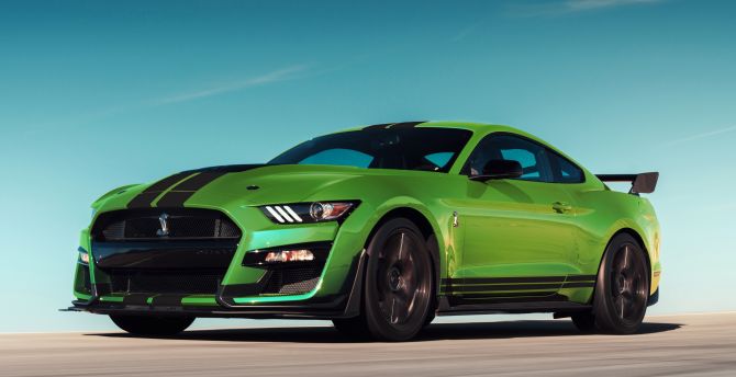 Green, Ford Mustang Shelby GT500 wallpaper