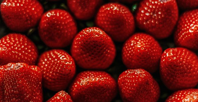 Red and delicious, strawberries wallpaper