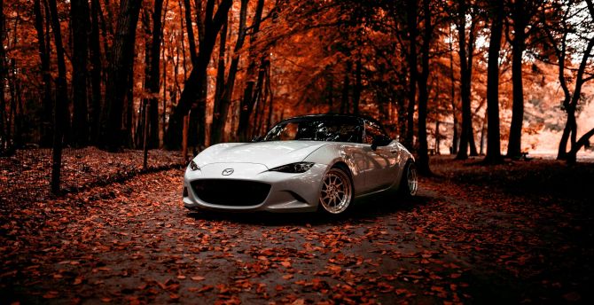 Mazda, off-road, autumn, sports car wallpaper