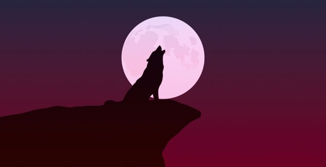 Howling, wolf, silhouette, minimalist art wallpaper