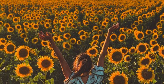 Sunny day, sunflowers, farm, woman wallpaper