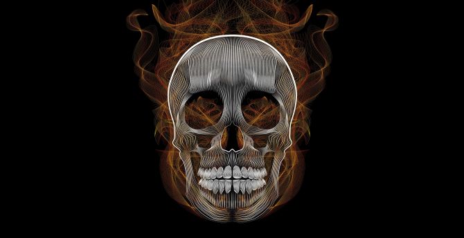Blend, skull, vector, illustration wallpaper