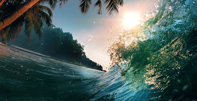 Water splashes, palm tree, sea waves, tide, nature wallpaper