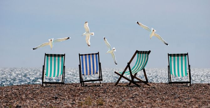 Summer, beach, seagulls, deckchairs wallpaper